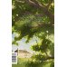 Маленькие мужчины. Вечные истории. Young Adult