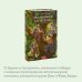 Маленькие мужчины. Вечные истории. Young Adult