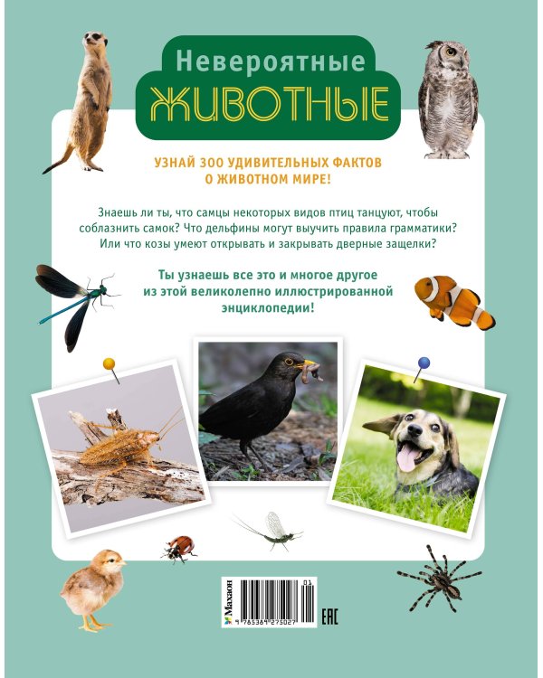 Дополнительное изображение книги «Невероятные животные»