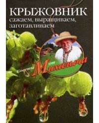 Крыжовник. Сажаем, выращиваем, заготавливаем