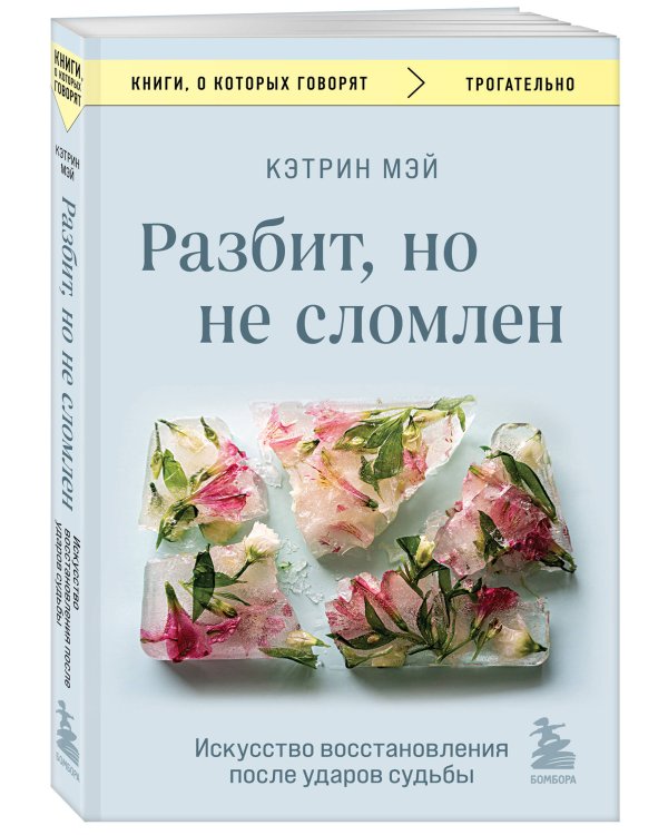 Разбит, но не сломлен. Искусство восстановления после ударов судьбы