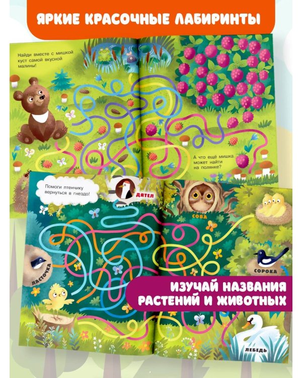 В лесу