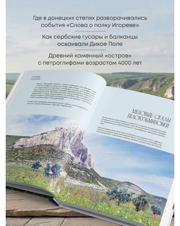 Донецкая и Луганская Республики. Наследие и будущее родного края
