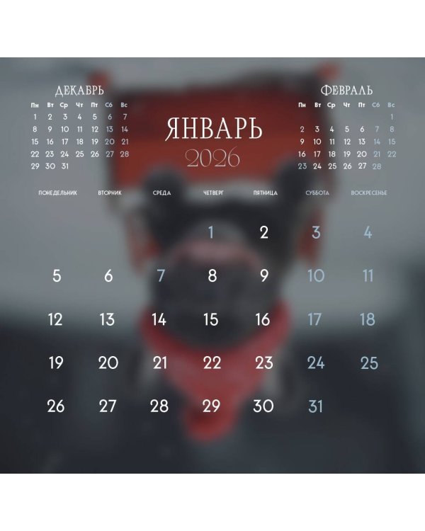 Французские булочки. Календарь настенный на 2026 год (300х300)