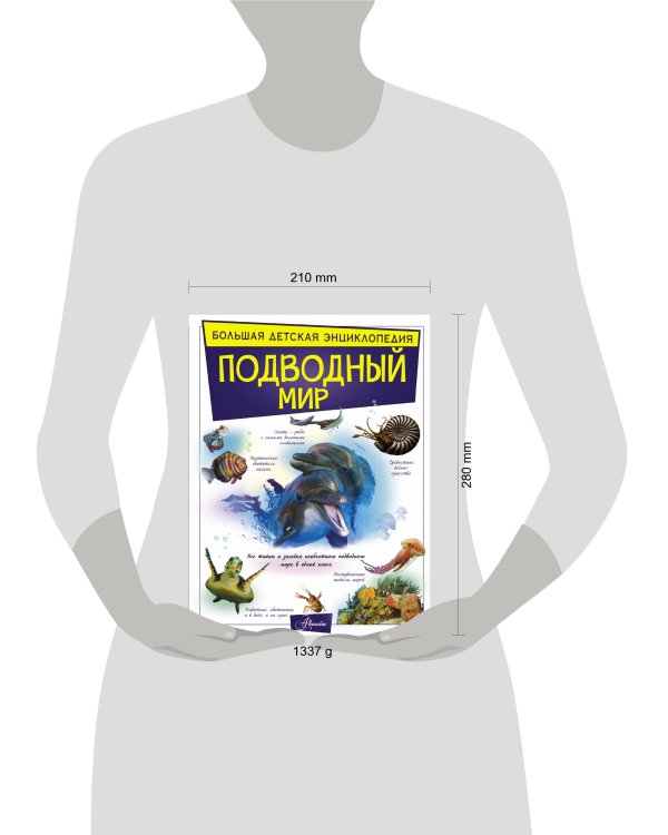 Подводный мир