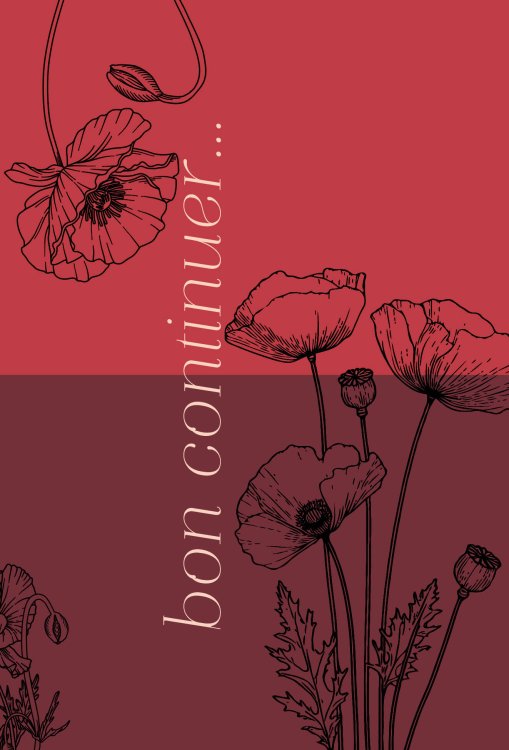 Bon continuer. Сборник стихотворений Bon continuer. Сборник стихотворений