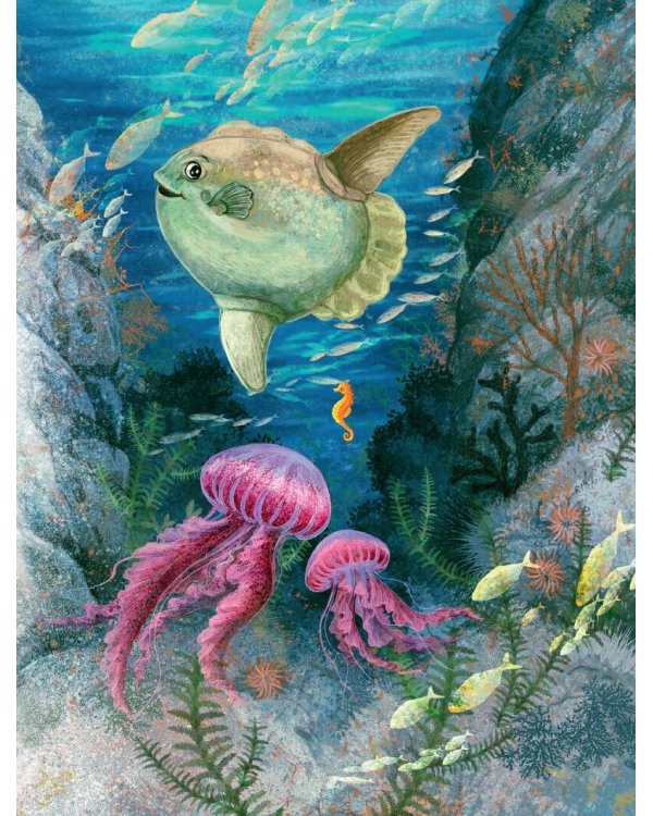 Морские сказки для почемучки