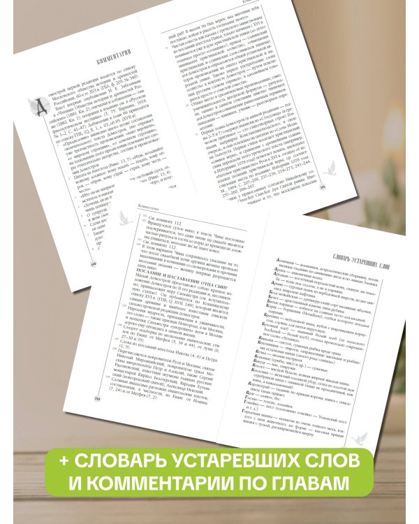 Домострой. Современное изложение: искусство строить дом и семью