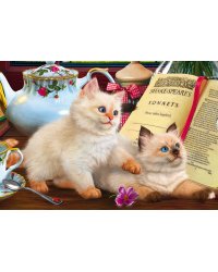 Алмаз.моз.(блест.)20х30, без подр.,на карт.,с част.зап.(17 цв.) КОТИКИ У КНИГИ (Арт. ASF036)