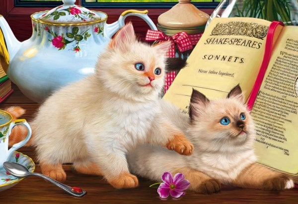 Алмаз.моз.(блест.)20х30, без подр.,на карт.,с част.зап.(17 цв.) КОТИКИ У КНИГИ (Арт. ASF036)