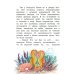 Читаем сами без мамы Морские сказки для почемучки