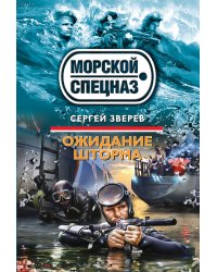 Ожидание шторма