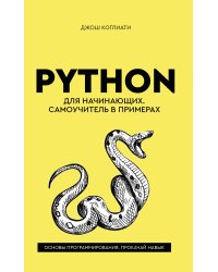 Python для начинающих. Самоучитель в примерах