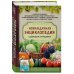 Подарочные издания. Лучшие агрономы России (новое оформление) Новая дачная энциклопедия садовода и огородника