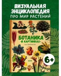Удивительные энциклопедии. Ботаника в картинках/Сория К.