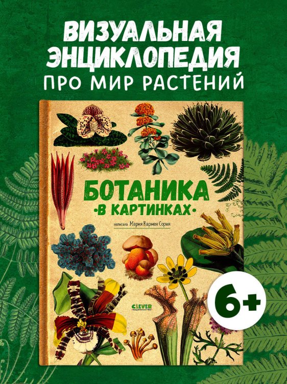 Удивительные энциклопедии. Ботаника в картинках/Сория К.
