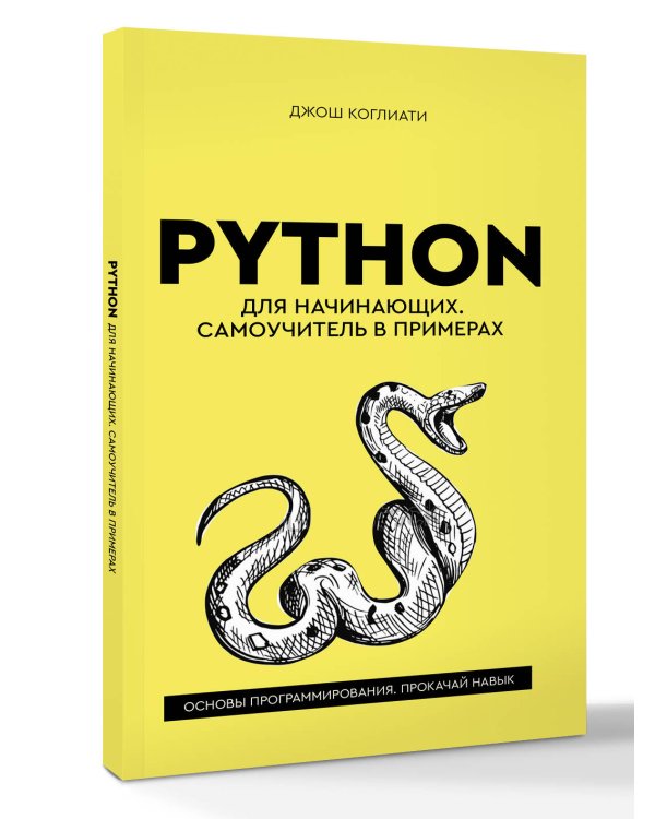 Python для начинающих. Самоучитель в примерах