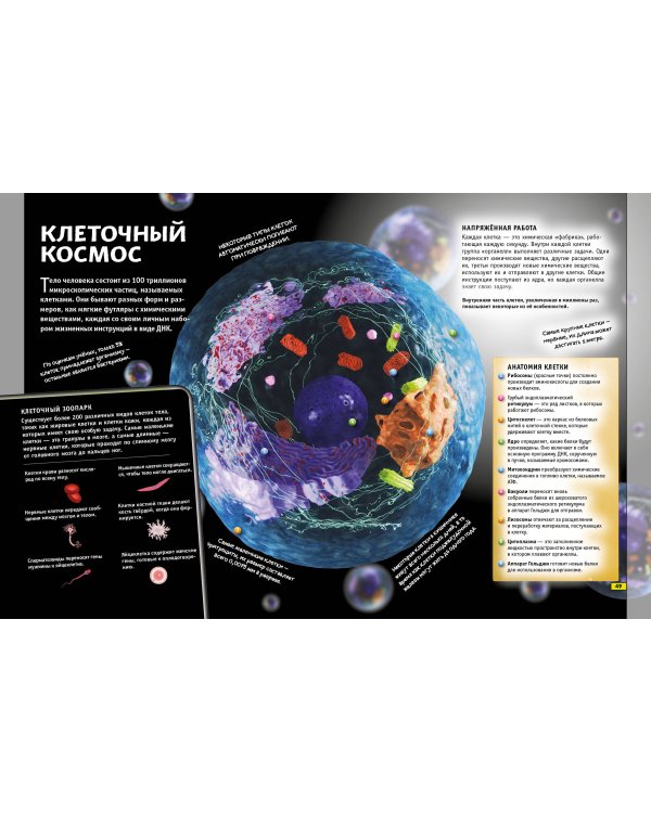 Наука. Книга юного эрудита