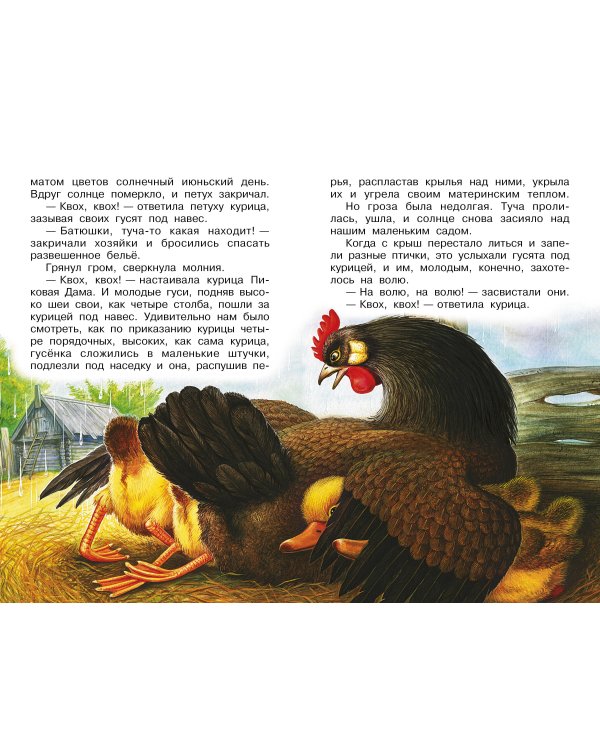 Рассказы о природе