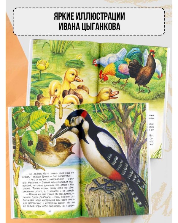 Рассказы о природе
