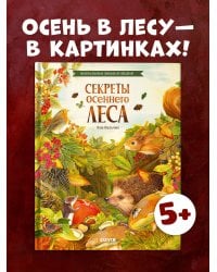 Удивительные энциклопедии. Секреты осеннего леса. Визуальная энциклопедия