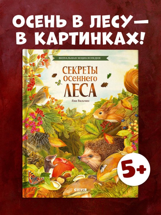 Удивительные энциклопедии. Секреты осеннего леса. Визуальная энциклопедия