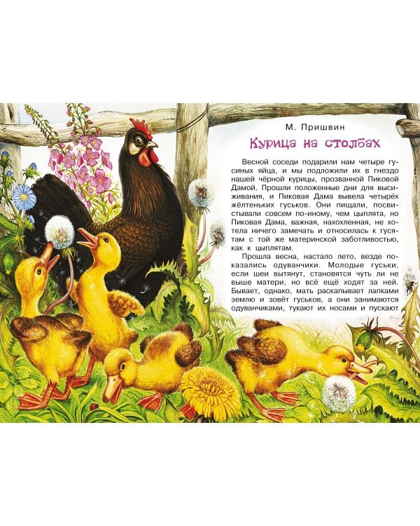 Рассказы о природе