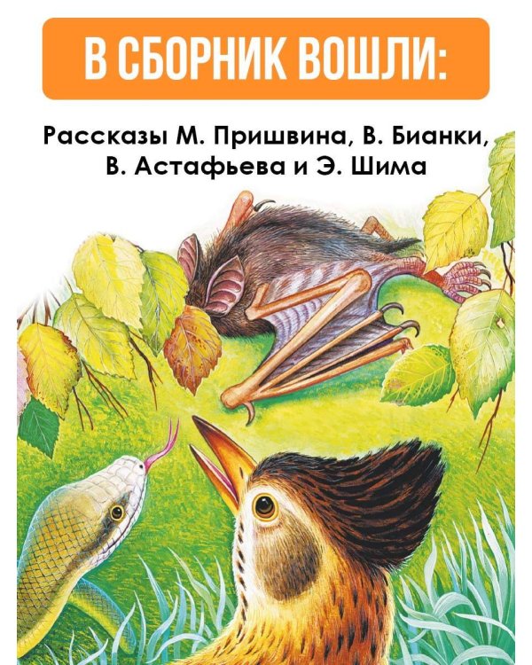Рассказы о природе