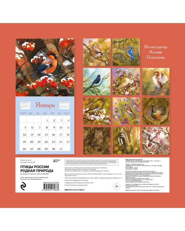 Птицы России. Родная природа. Календарь настенный на 2026 год (300х300 мм)