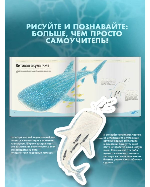 Рисуем милых водных животных