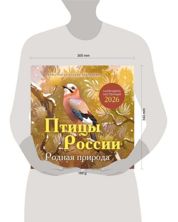 Птицы России. Родная природа. Календарь настенный на 2026 год (300х300 мм)