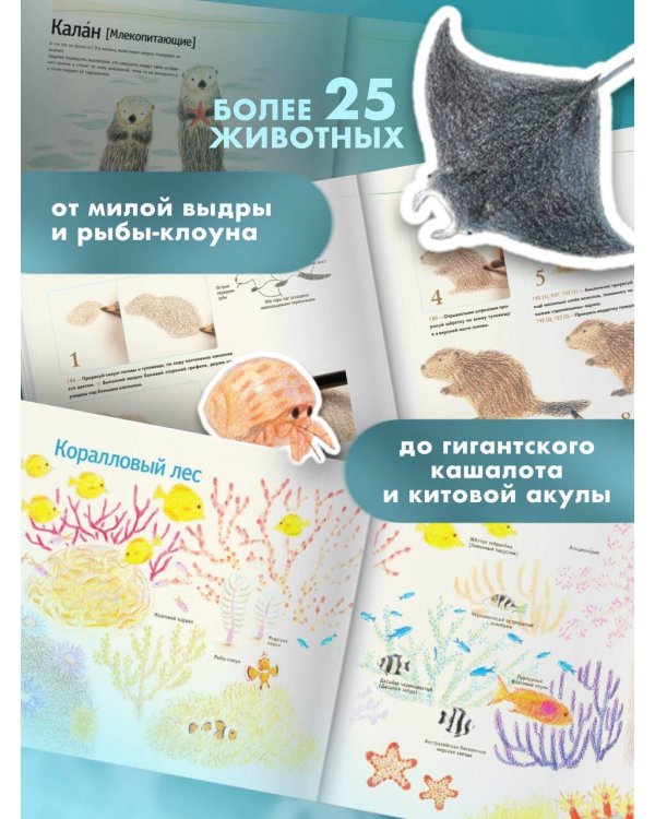 Рисуем милых водных животных