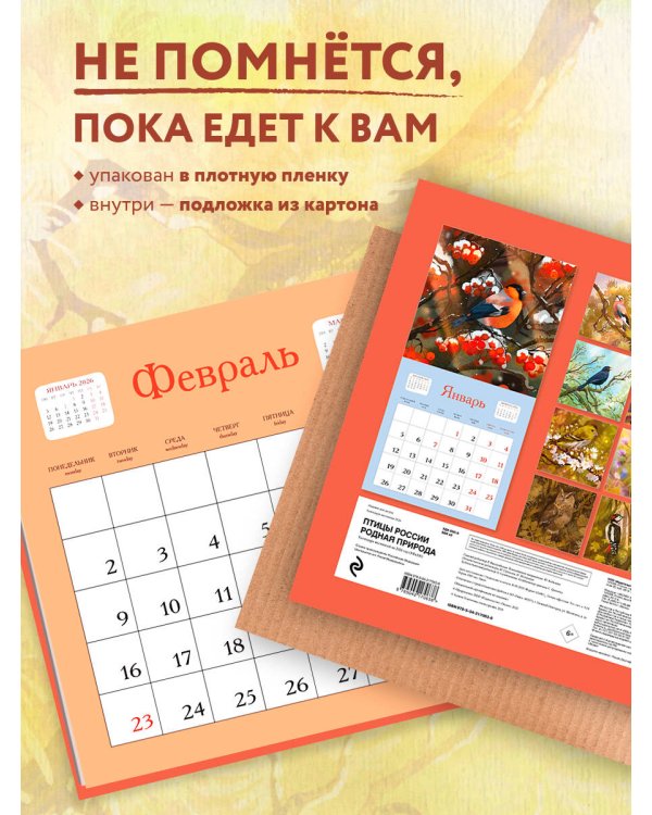 Птицы России. Родная природа. Календарь настенный на 2026 год (300х300 мм)