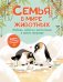 Обложка книги «Семья в мире животных. Любовь, забота и воспитание в дикой природе» — None, ISBN 9785389275041
