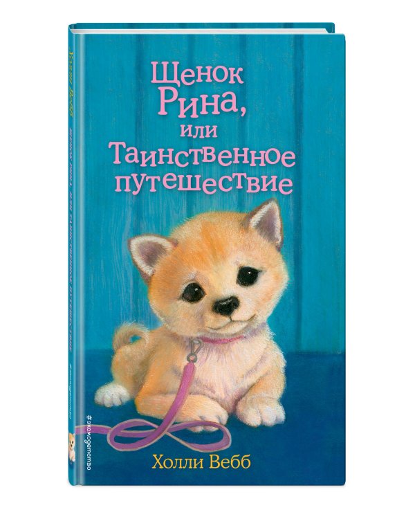 Щенок Рина, или Таинственное путешествие