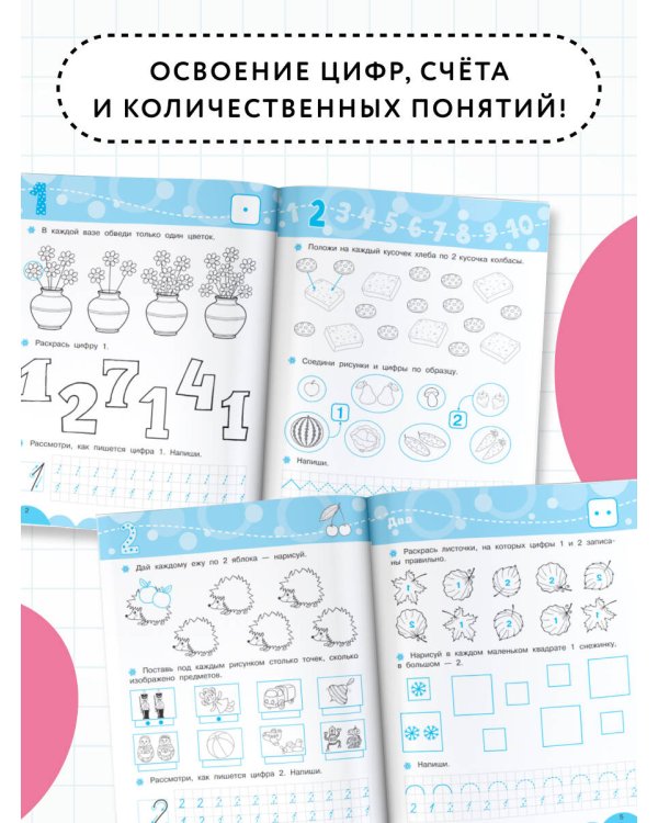 Счёт и количество