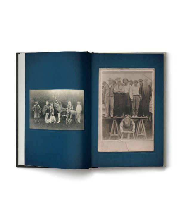 Собрание птиц