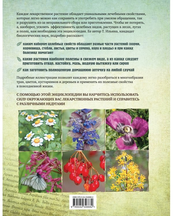 Лекарственные растения. Большая иллюстрированная энциклопедия