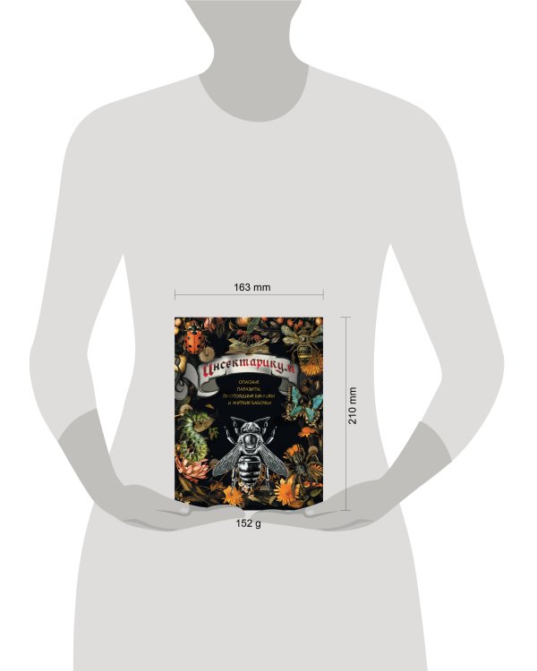 Инсектарикум: опасные паразиты, плотоядные букашки и жуткие бабочки