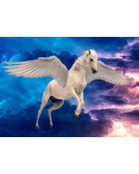 Алмаз мозаика (блест.) 30х40 см, с подр.,с полн.заполн.цв. Летающий крылатый жеребец.(Арт. AS34010)