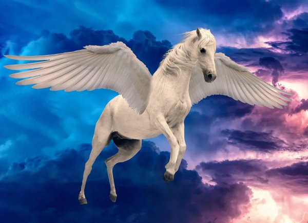Алмаз мозаика (блест.) 30х40 см, с подр.,с полн.заполн.цв. Летающий крылатый жеребец.(Арт. AS34010)