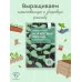 Моя крепкая рассада. Качественная подготовка к огородному сезону