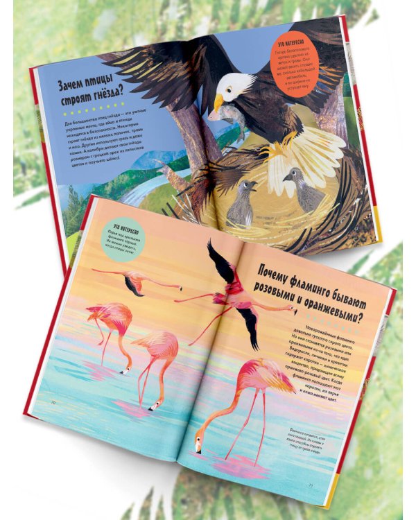 Britannica. 100 тысяч почему