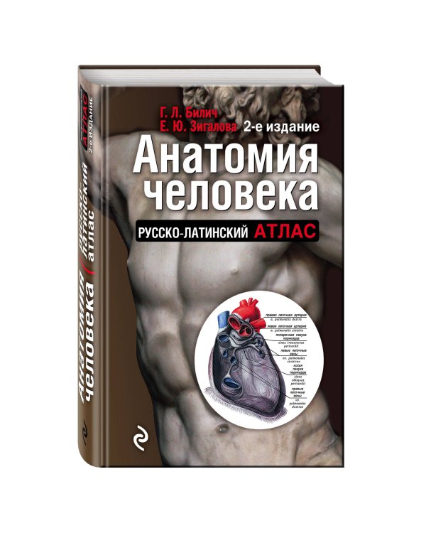 Анатомия человека: Русско-латинский атлас. 2-е издание