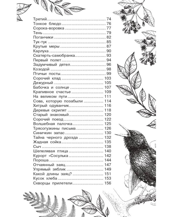 Бюро лесных услуг