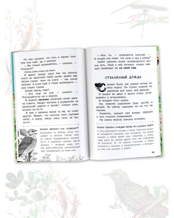 Бюро лесных услуг