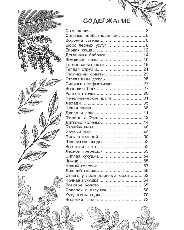 Бюро лесных услуг