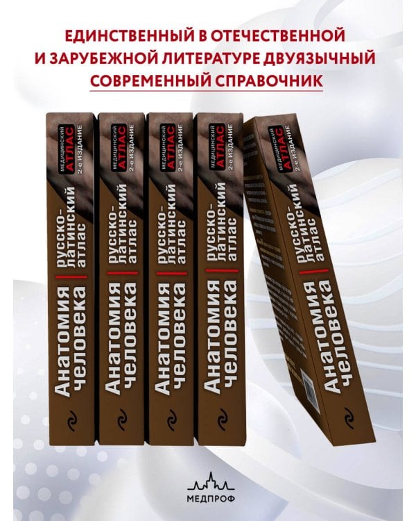 Анатомия человека: Русско-латинский атлас. 2-е издание