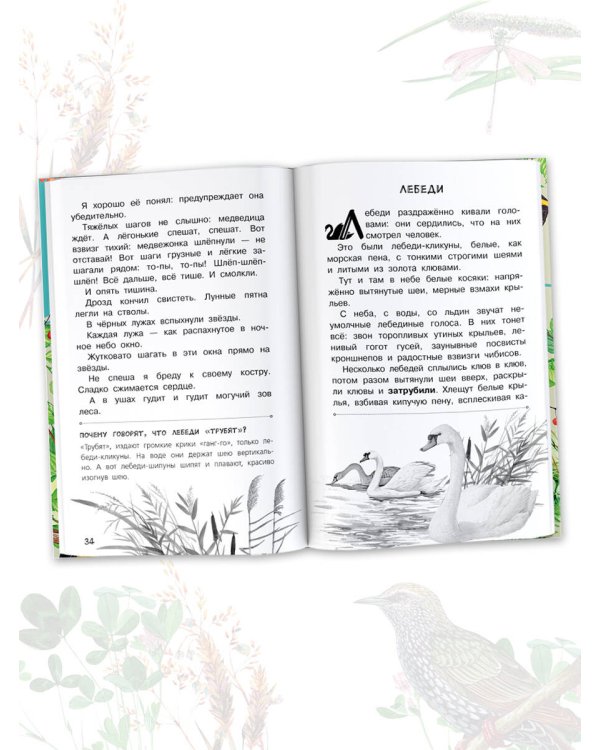 Бюро лесных услуг