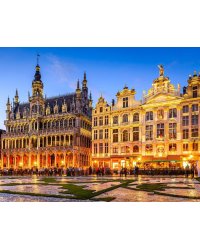 Алмаз мозаика (блест.) 30х40 см, с подр.,с полн.заполн.цв.Вечерняя брюссельская ратуша (Арт.AS34018)